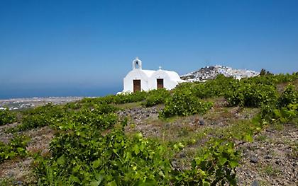 Η Σαντορίνη προσκαλεί όλο τον κόσμο σε ένα έτος... γαστρονομίας
