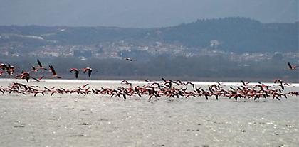 Οι περιβαλλοντικές οργανώσεις απέναντι στο νομοσχέδιο της τουριστικής επιχειρηματικότητας