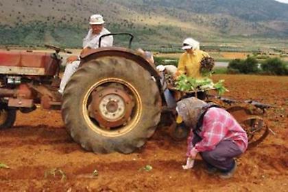 Περισσότερα αγροτικά προϊόντα από την Ελλάδα θέλουν οι Κινέζοι