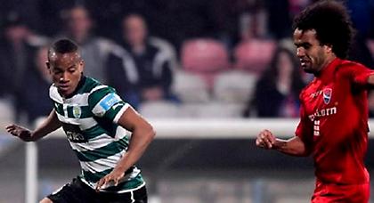 Θυμίζουν κάτι από «λιοντάρια»