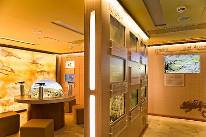 Γνωρίζω και προβάλλω τη Φύση και την Ιστορία της Μεσσηνίας