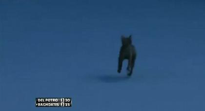 Γι’ αυτό έχασε ο Παγδατής! (video)