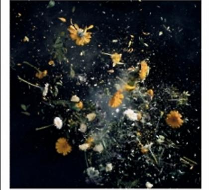 My Love Soon στο αεροδρόμιο Αθηνών