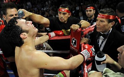 Η πιο ακριβή μαριχουάνα στον κόσμο