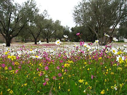 FC: Η Άνοιξη θα ‘ρθει να σε βρει