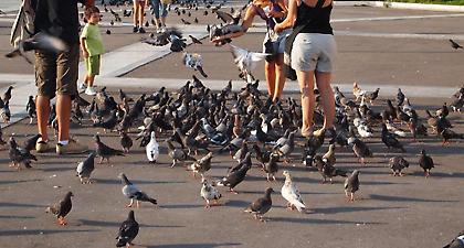 Τι θέλει από εμάς η Άνοιξη;