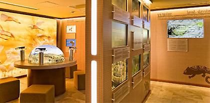 Εκπαιδευτικό πρόγραμμα από το Navarino Foundation και το Πανεπιστήμιο Πελοποννήσου