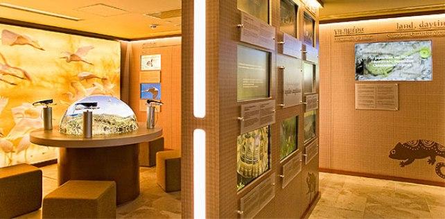 Εκπαιδευτικό πρόγραμμα από το Navarino Foundation και το Πανεπιστήμιο Πελοποννήσου