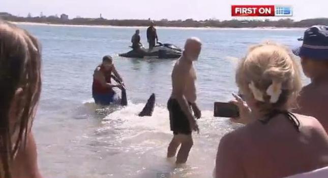 Απολύθηκε επειδή τα έβαλε με καρχαρία(vid)!