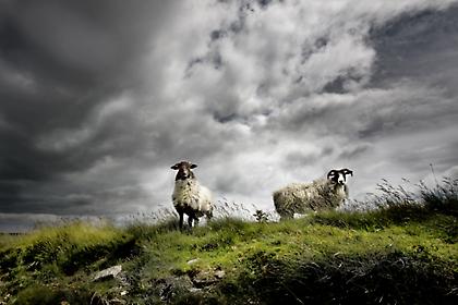 Η εποχή του γέρου και του βλάκα