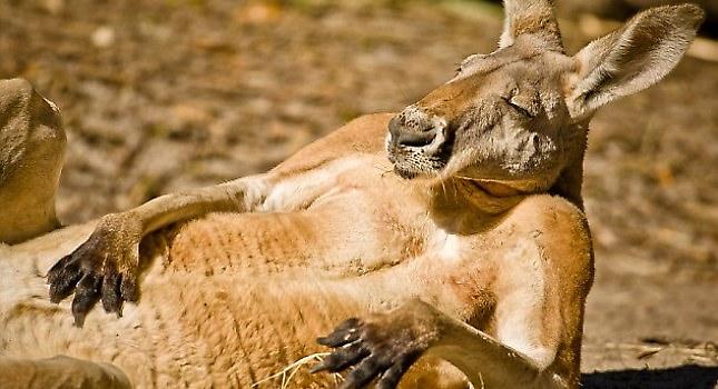 Ώρα για φωτόοο…