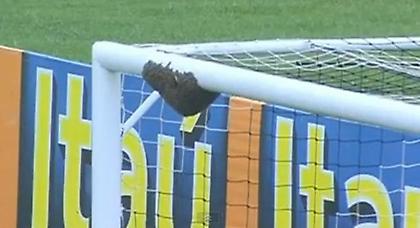 Μέλισσες στα… δοκάρια! (video)