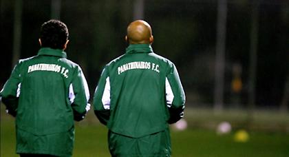 Μισή ντουζίνα