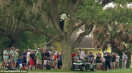 Γκολφ… αφ’ υψηλού (video)