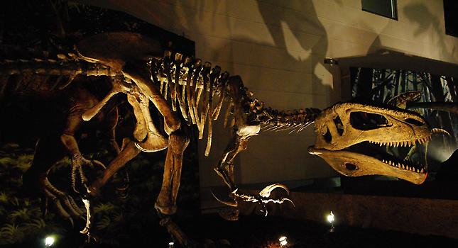 Παράταση έκθεσης «Oι Δεινόσαυροι της Παταγονίας»!