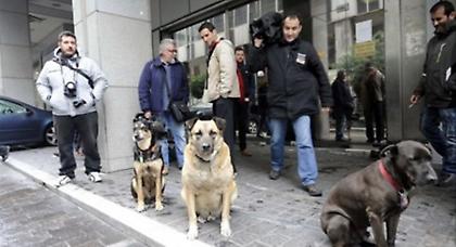 Γλίτωσε την ευθανασία και επιστρέφει στο Σύνταγμα ο «αντιμνημονιακός Ρούμπι»