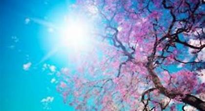 Μπαίνει για τα καλά η άνοιξη το Σαββατοκύριακο