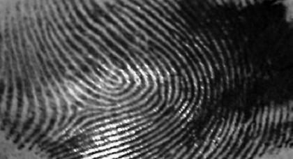 Εφικτή η λήψη αποτυπωμάτων από φρούτα και λαχανικά