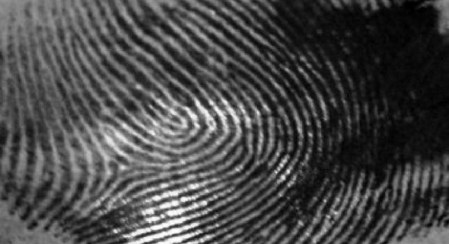 Εφικτή η λήψη αποτυπωμάτων από φρούτα και λαχανικά