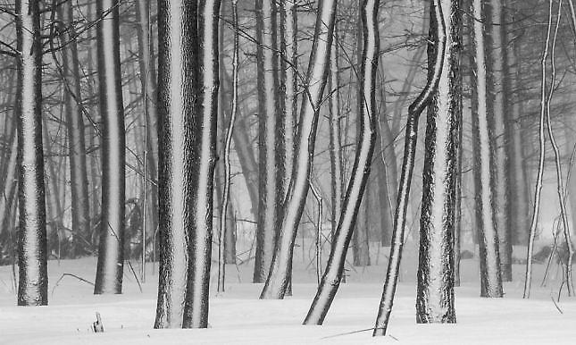Η φωτογραφία της ημέρας