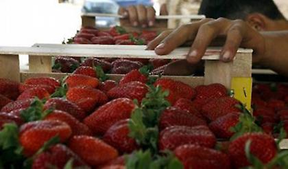 Πόσο απέχει η Πάτρα από τη Μανωλάδα; Ένα κράξιμο δρόμο…