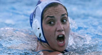 Αρχηγού παρόντος