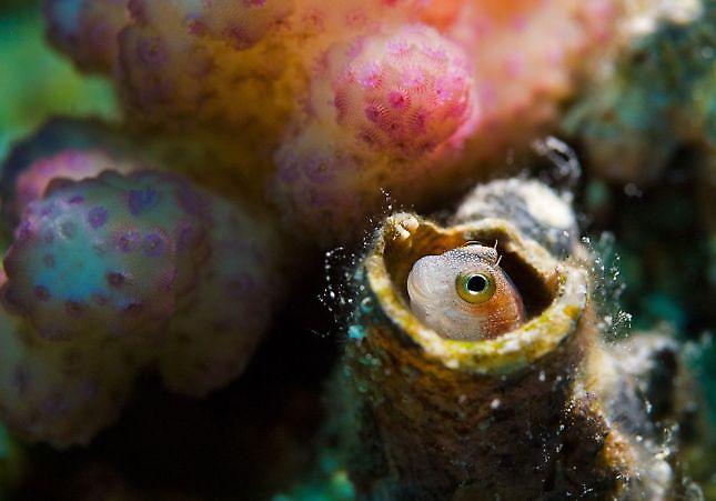 Η φωτογραφία της ημέρας