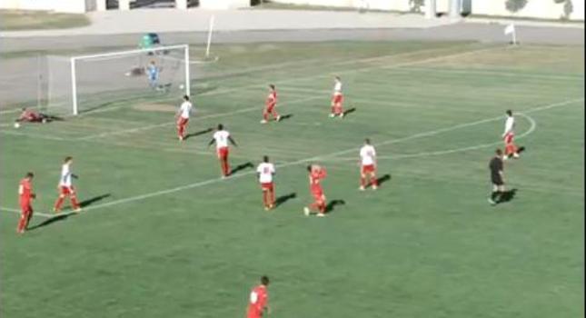 Τα κάνει όλα, αλλά δεν συμφέρει (video)