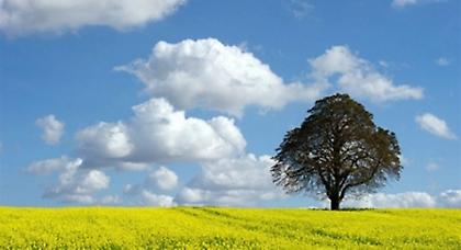 Πρόγνωση καιρού Πέμπτης, 16 Μαΐου
