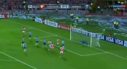 Γάτος -ακόμα- ο Ντίντα! (video)