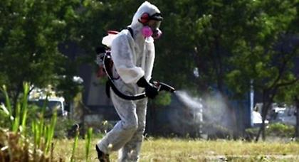 Δύσκολο το καλοκαίρι λόγω επιδρομής κουνουπιών