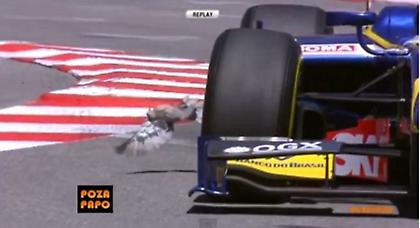 Πέτα πουλί μου, πέτα (vids)