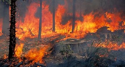Μπαράζ πυρκαγιών σε εξέλιξη