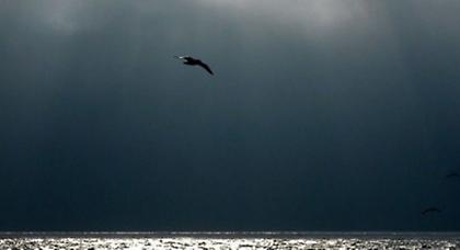 Ρε μπαγάσα, με κέρδισες αμέσως… Γιατί μοιάζαμε πολύ…