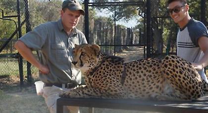 Ο Εζίλ στα… θηρία