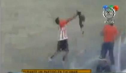 Ποιος είναι το ζώο; (video)