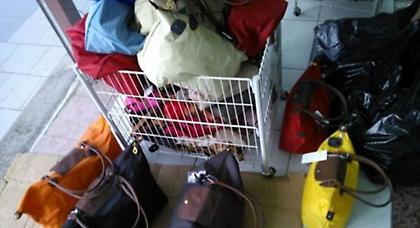 Καταστράφηκαν 2.000 προϊόντα «μαϊμού»