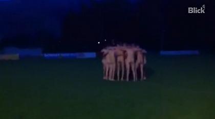 Γυμνά επινίκια (video)