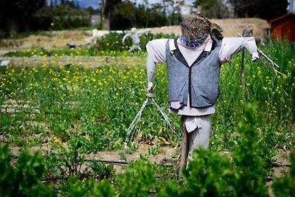 Ξεχωριστές δραστηριότητες στο Πάρκο Τρίτση από την Οργάνωση Γη