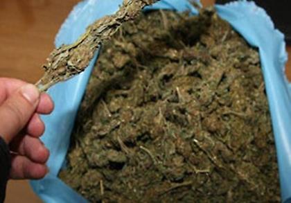 Κατασχέθηκαν σε 635 κιλά χασίς στην Πρέβεζα