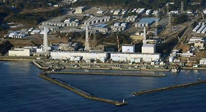 Ψάρεψαν ραδιενεργό ψάρι κοντά στη Φουκουσίμα