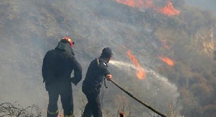 Σε εξέλιξη φωτιά στην Εύβοια