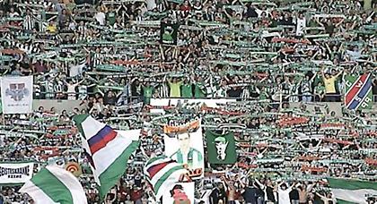 Το προφίλ της Ραπίντ Βιέννης