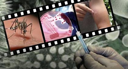 Άλλα δύο κρούσματα από τον ιό του Δυτικού Νείλου στην Ανατ. Αττική