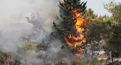 Ανεξέλεγκτη μαίνεται η φωτιά στη Ρόδο