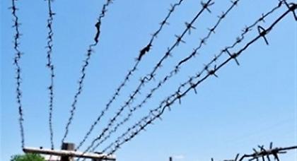 Νεκρός Τούρκος βοσκός από πυρά Αρμενίων στρατιωτών