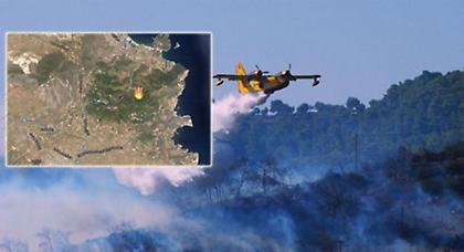 Στο δάσος Κουβαρά η φωτιά - Κάηκαν σπίτια, αυλές και αποθήκες