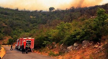 Σε εξέλιξη φωτιά στο Μαραθώνα