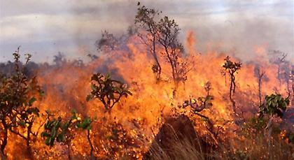 Εκκενώνεται οικισμός στον Μαραθώνα