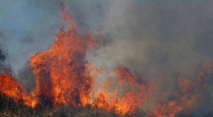Σε εξέλιξη πυρκαγιά στην Ερμιονίδα